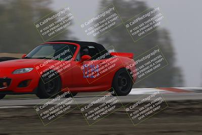 media/Nov-28-2025-Speed SF (Fri) [[b9fcb3577c]]/Blue/Session 2 (Grapevine)/